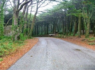 The road around